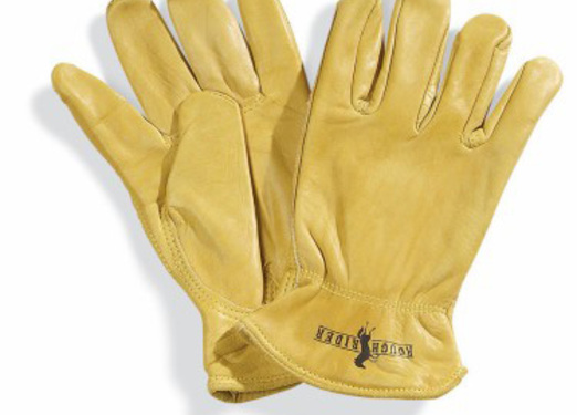 Glove