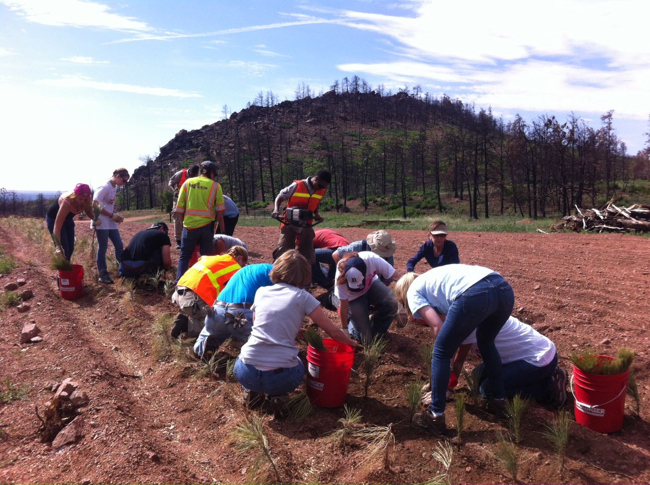 Planting