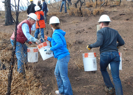 Seeding and Mulching 