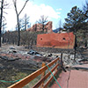 after the fire