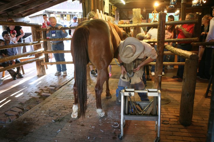 Horseshoeing 